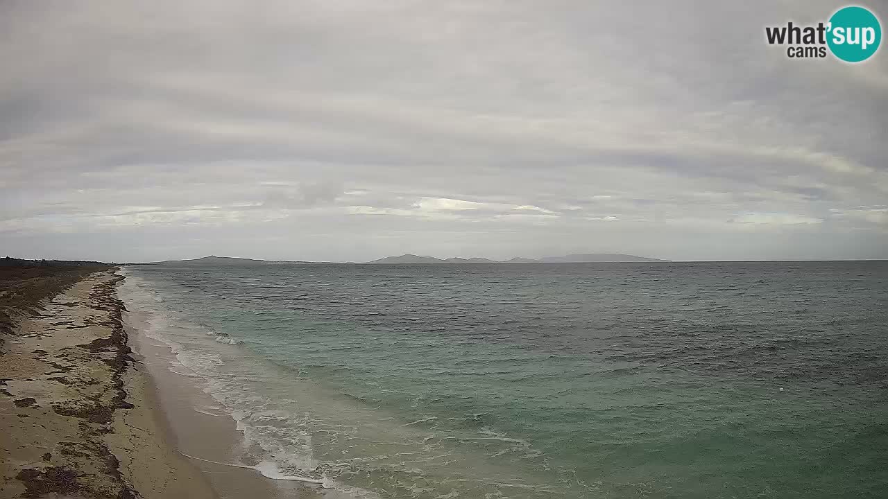 Playa Le Saline camera en vivo Stintino – Cerdeña