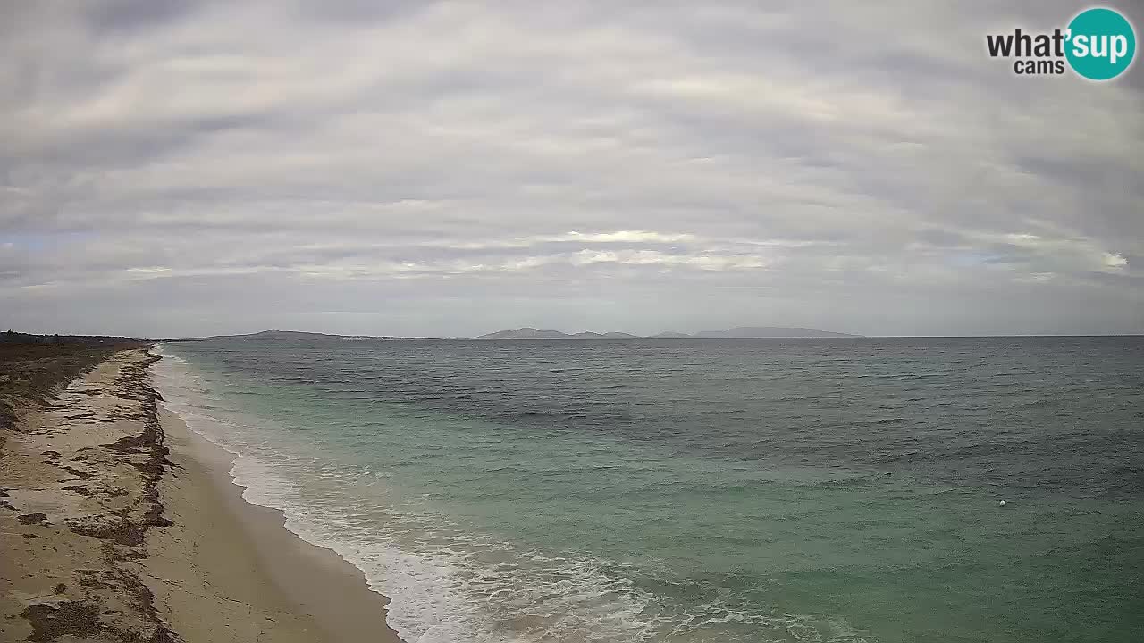 Plaža Le Saline spletna kamera Stintino – Sardinija