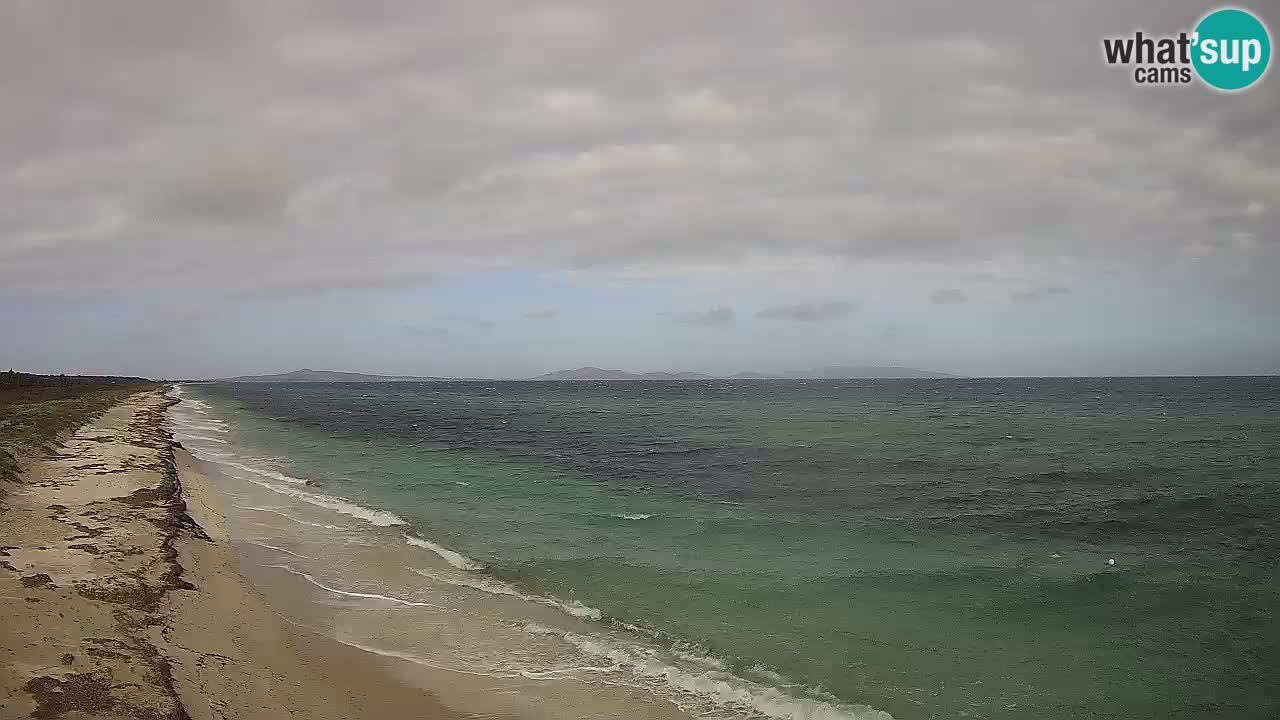 Strand Le Saline webcam Stintino – Sardinien