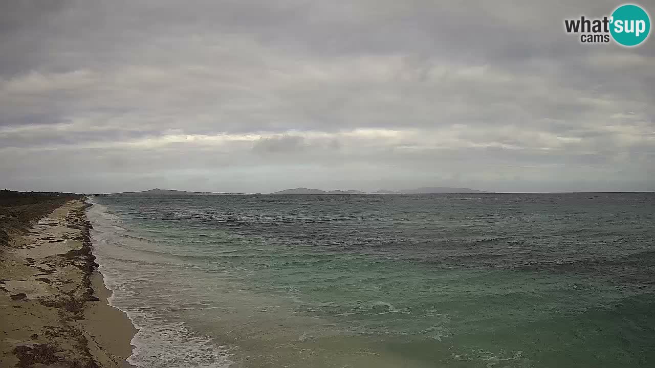 Plaža Le Saline web kamera Stintino – Sardinija