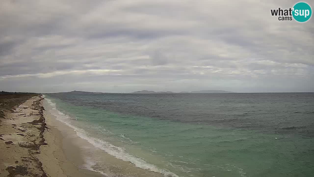 Playa Le Saline camera en vivo Stintino – Cerdeña