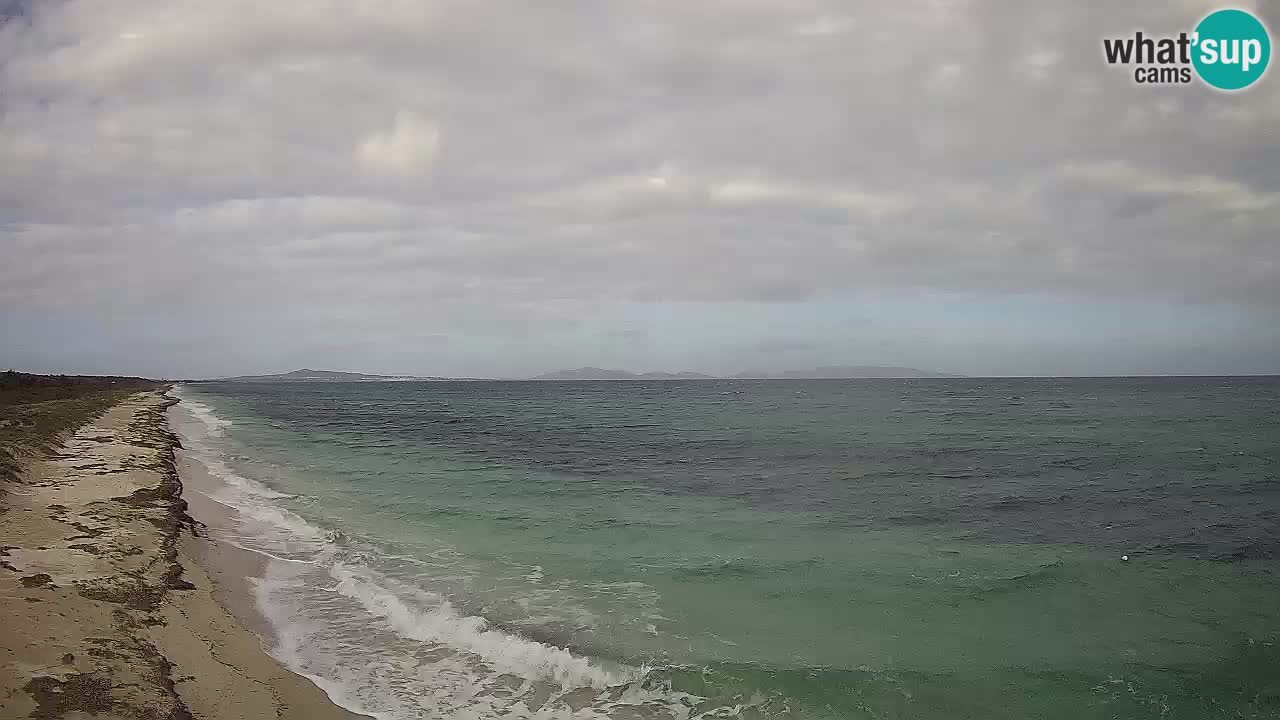 Plaža Le Saline web kamera Stintino – Sardinija