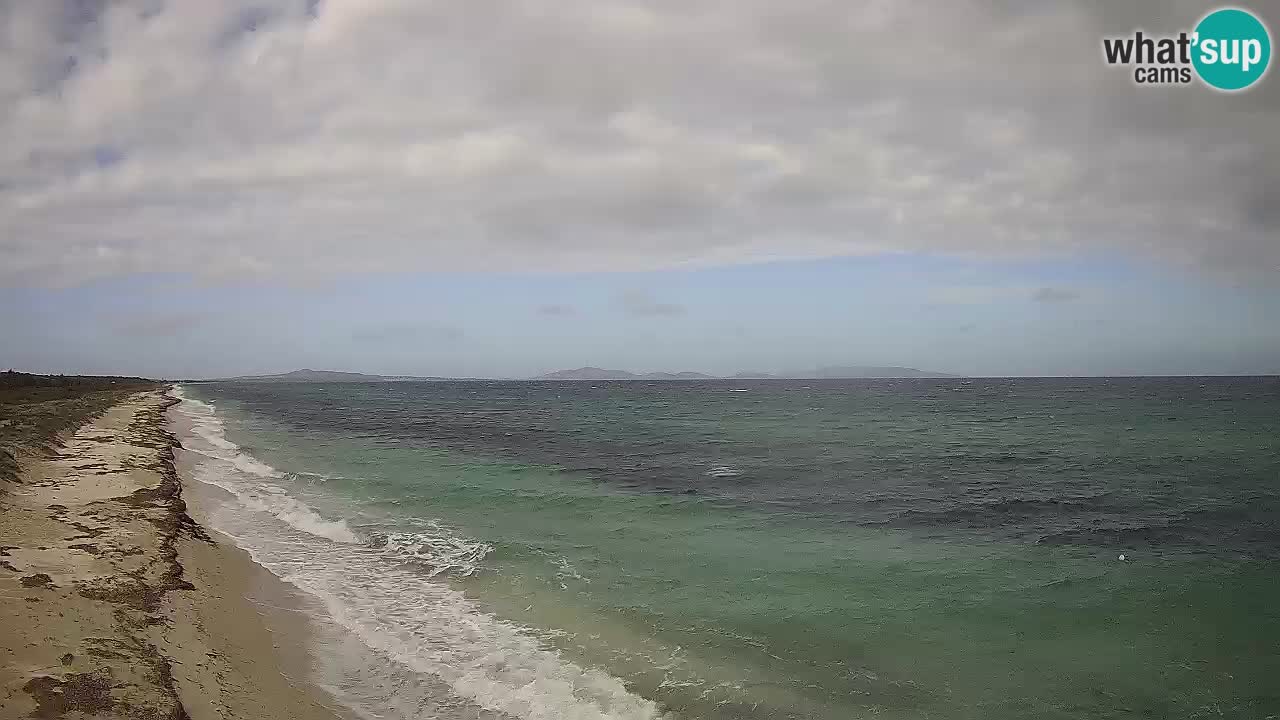 Spiaggia Le Saline webcam Stintino – Sardegna