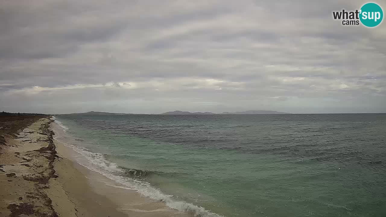 Plaža Le Saline web kamera Stintino – Sardinija