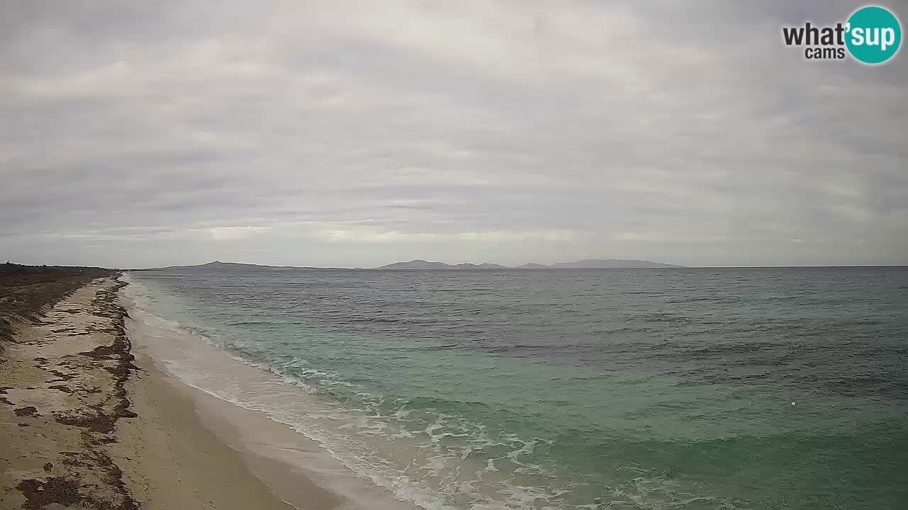 Strand Le Saline webcam Stintino – Sardinien