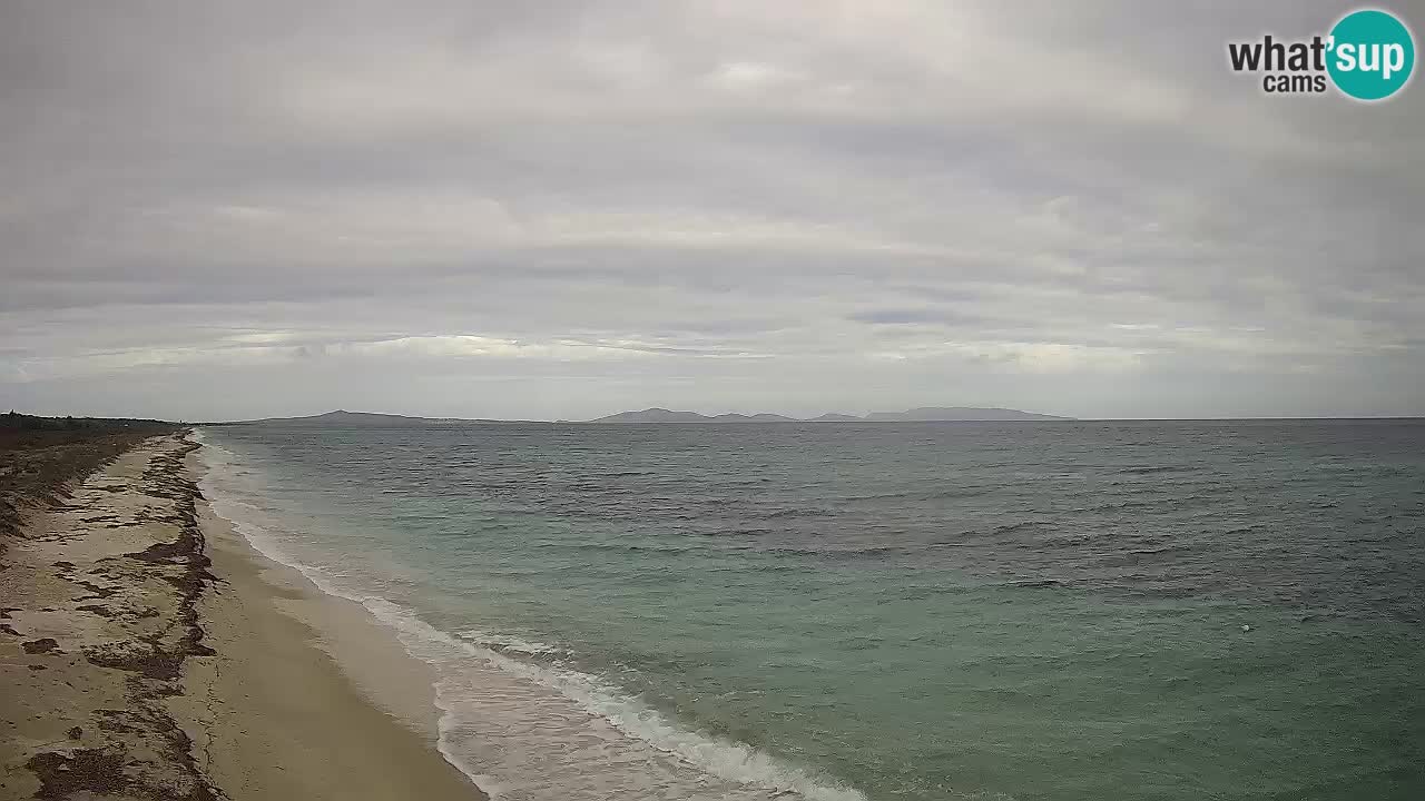 Spiaggia Le Saline webcam Stintino – Sardegna