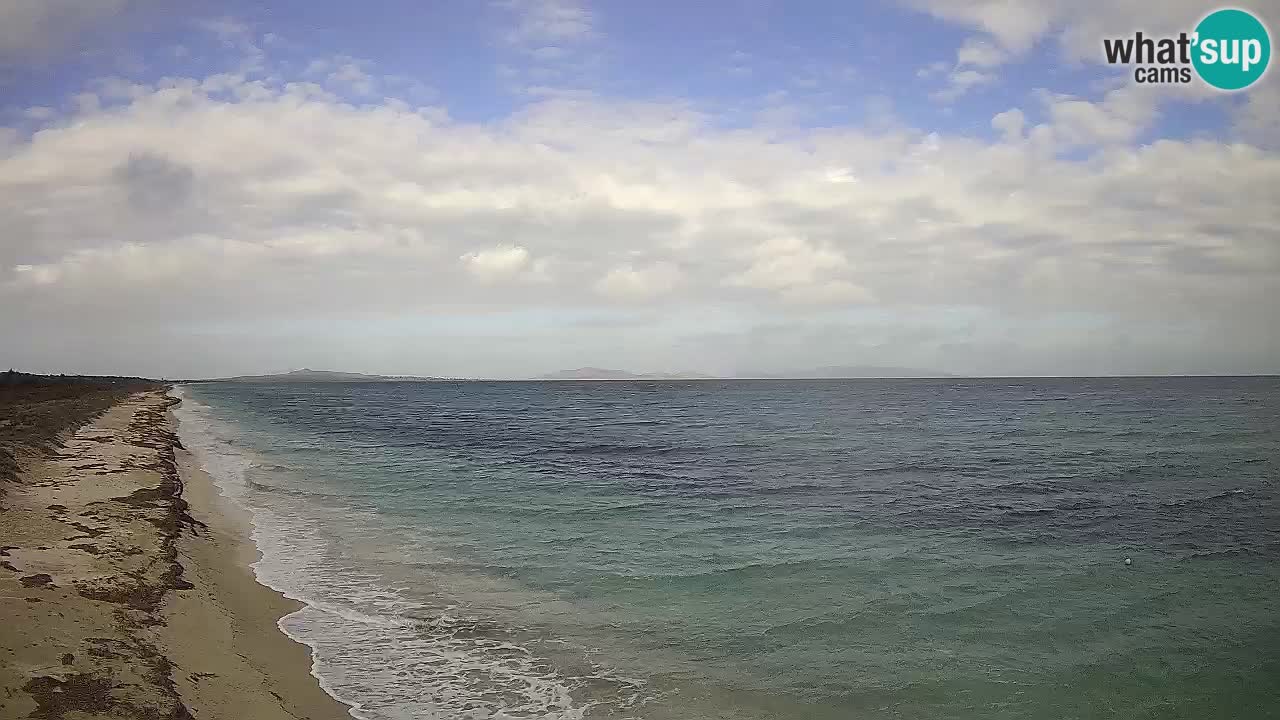 Plaža Le Saline spletna kamera Stintino – Sardinija