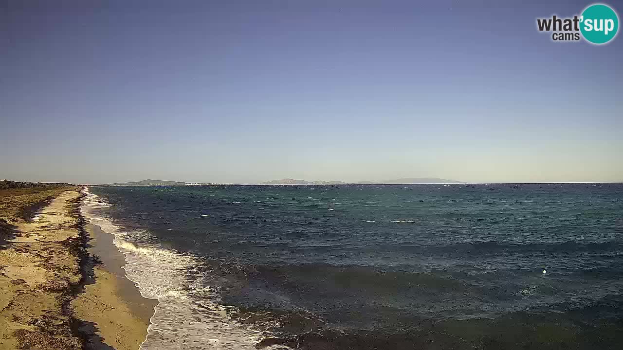 Playa Le Saline camera en vivo Stintino – Cerdeña