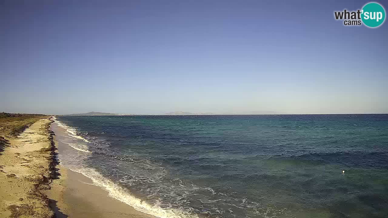 Plaža Le Saline web kamera Stintino – Sardinija