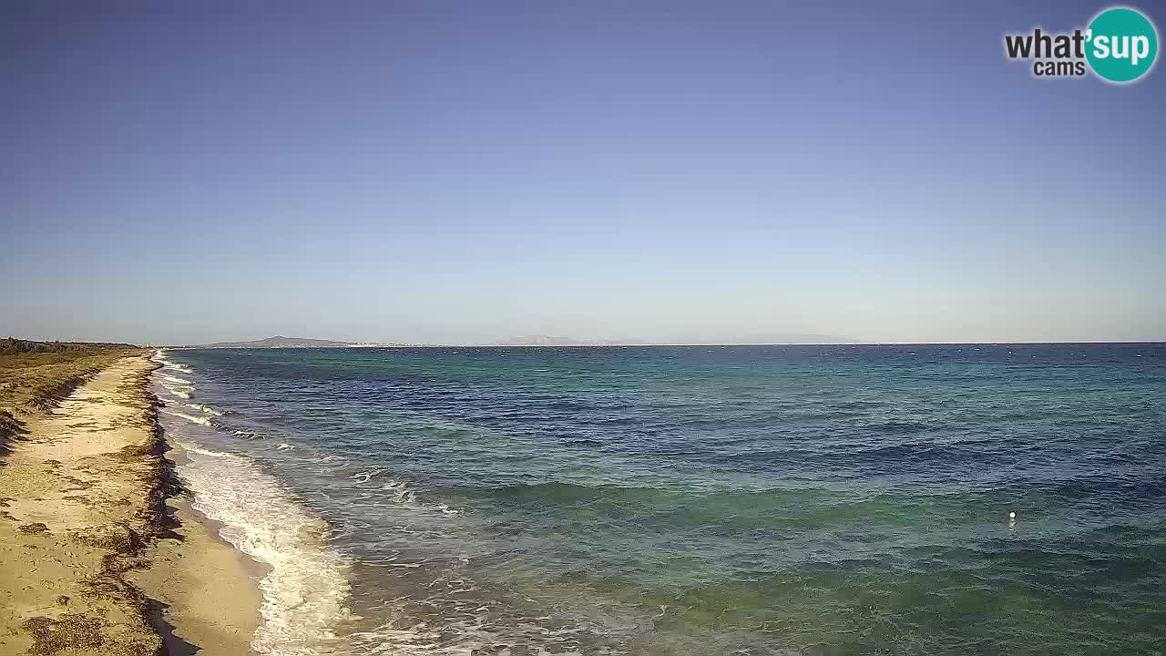 Plaža Le Saline spletna kamera Stintino – Sardinija