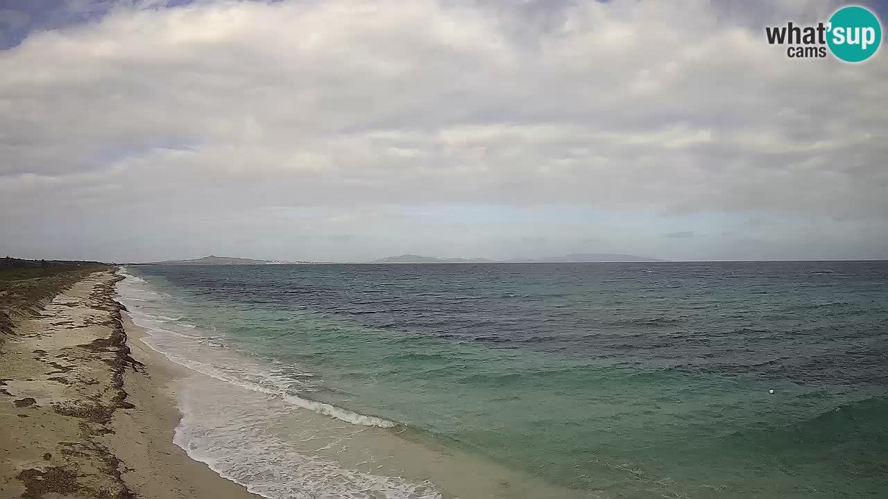 Strand Le Saline webcam Stintino – Sardinien