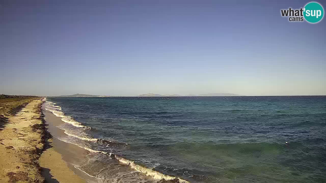 Plaža Le Saline spletna kamera Stintino – Sardinija