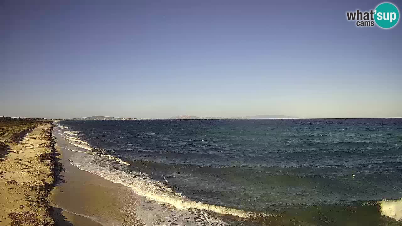 Plaža Le Saline spletna kamera Stintino – Sardinija