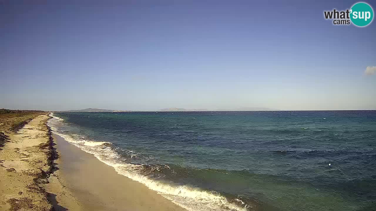 Strand Le Saline webcam Stintino – Sardinien