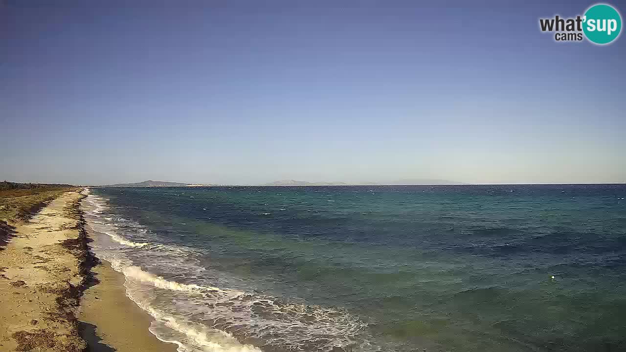 Plaža Le Saline spletna kamera Stintino – Sardinija