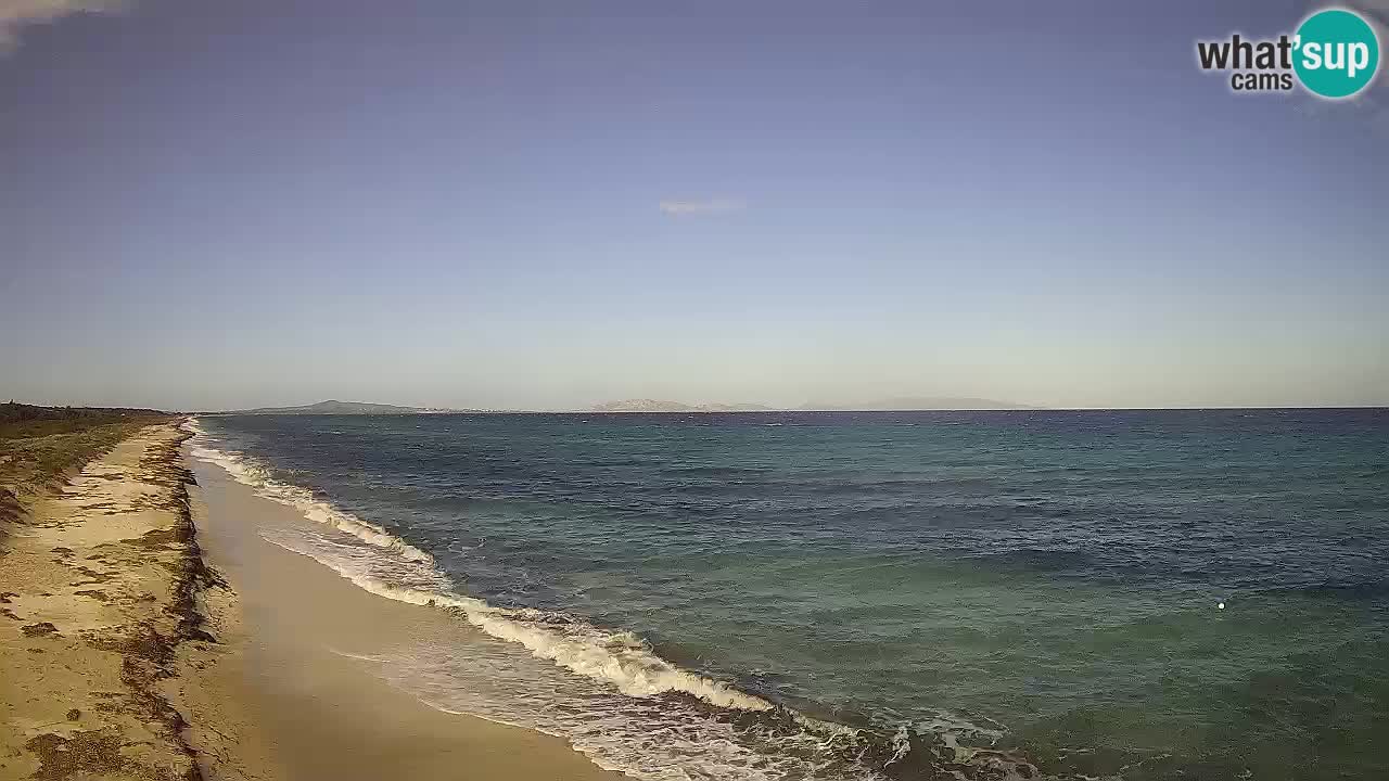 Strand Le Saline webcam Stintino – Sardinien