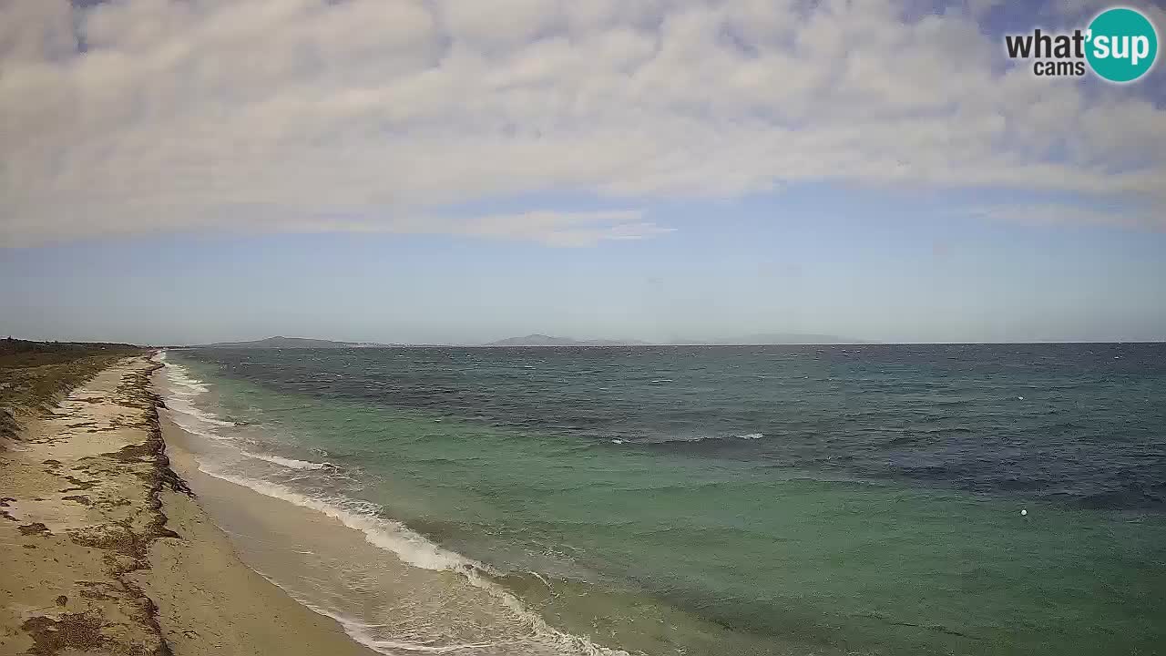 Spiaggia Le Saline webcam Stintino – Sardegna