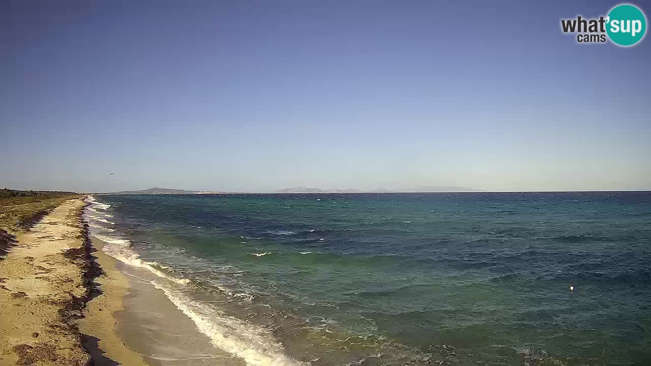 Spiaggia Le Saline webcam Stintino – Sardegna