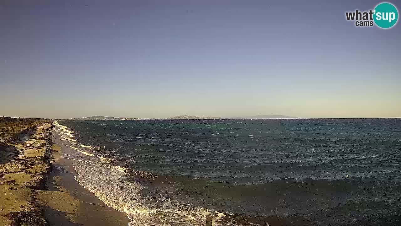 Playa Le Saline camera en vivo Stintino – Cerdeña