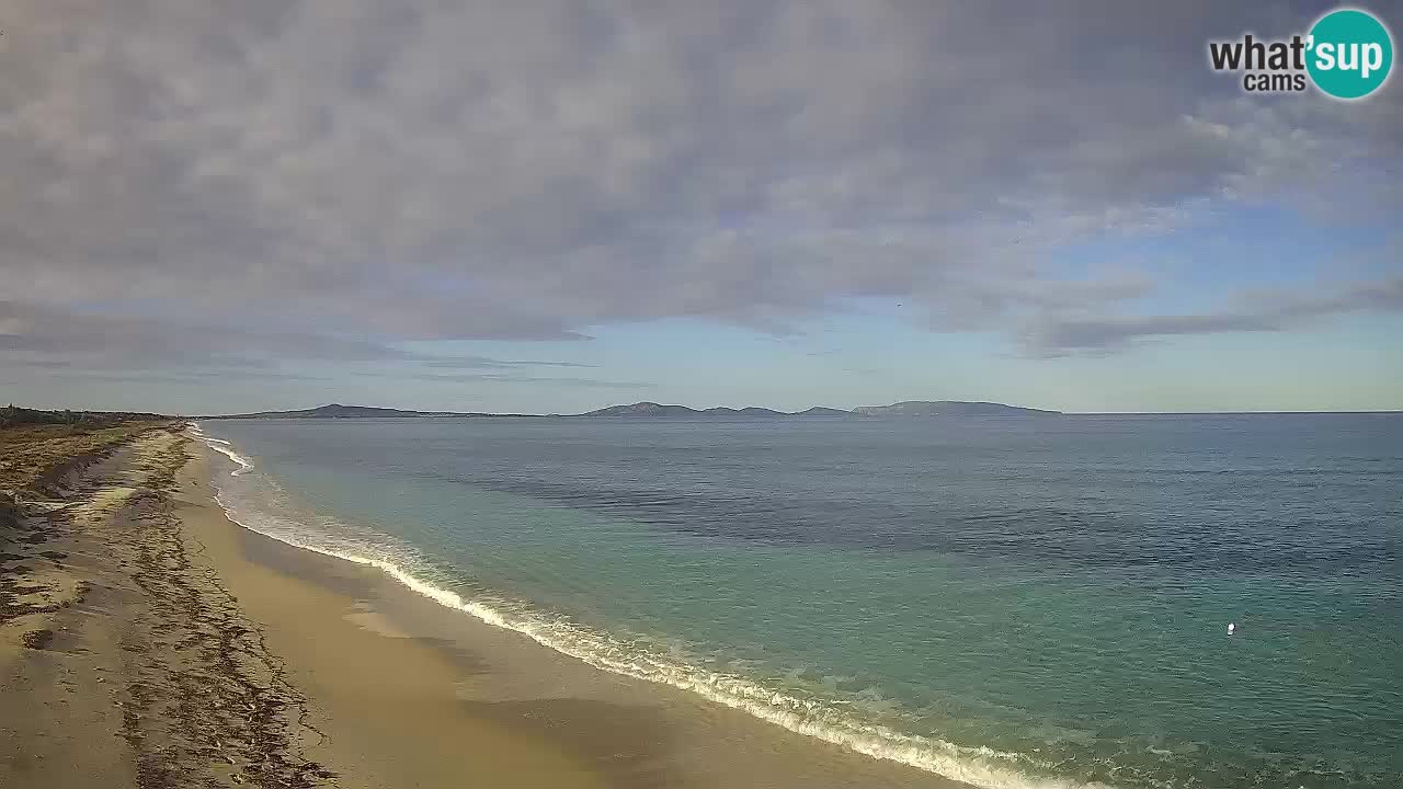 Plaža Le Saline spletna kamera Stintino – Sardinija