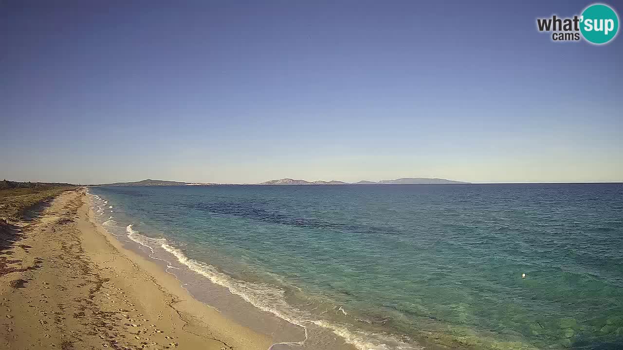 Strand Le Saline webcam Stintino – Sardinien