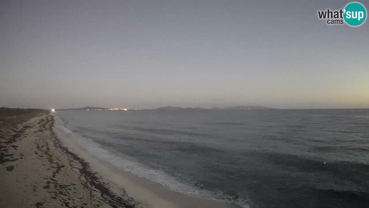 Strand Le Saline webcam Stintino – Sardinien