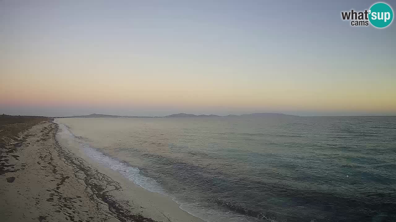 Spiaggia Le Saline webcam Stintino – Sardegna