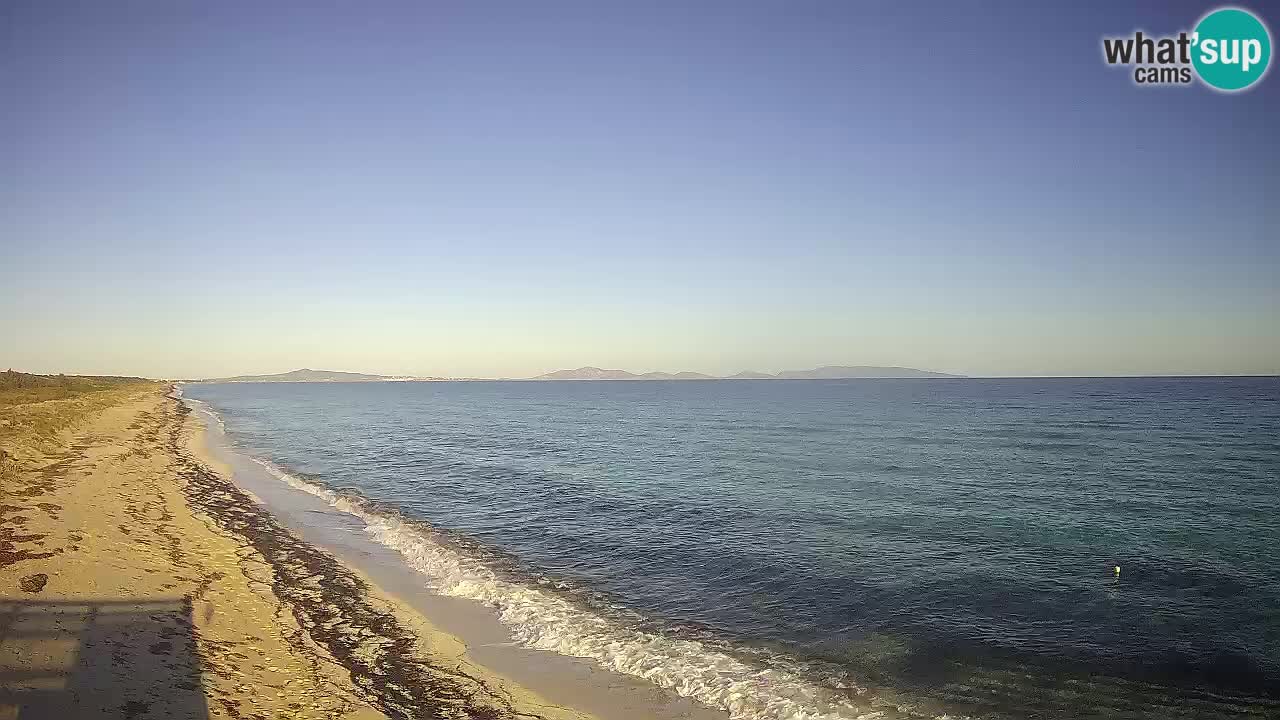 Spiaggia Le Saline webcam Stintino – Sardegna