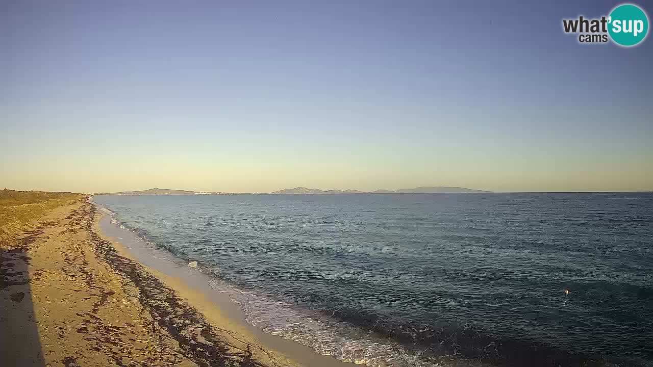 Plaža Le Saline web kamera Stintino – Sardinija