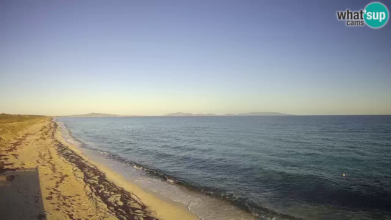 Plaža Le Saline web kamera Stintino – Sardinija