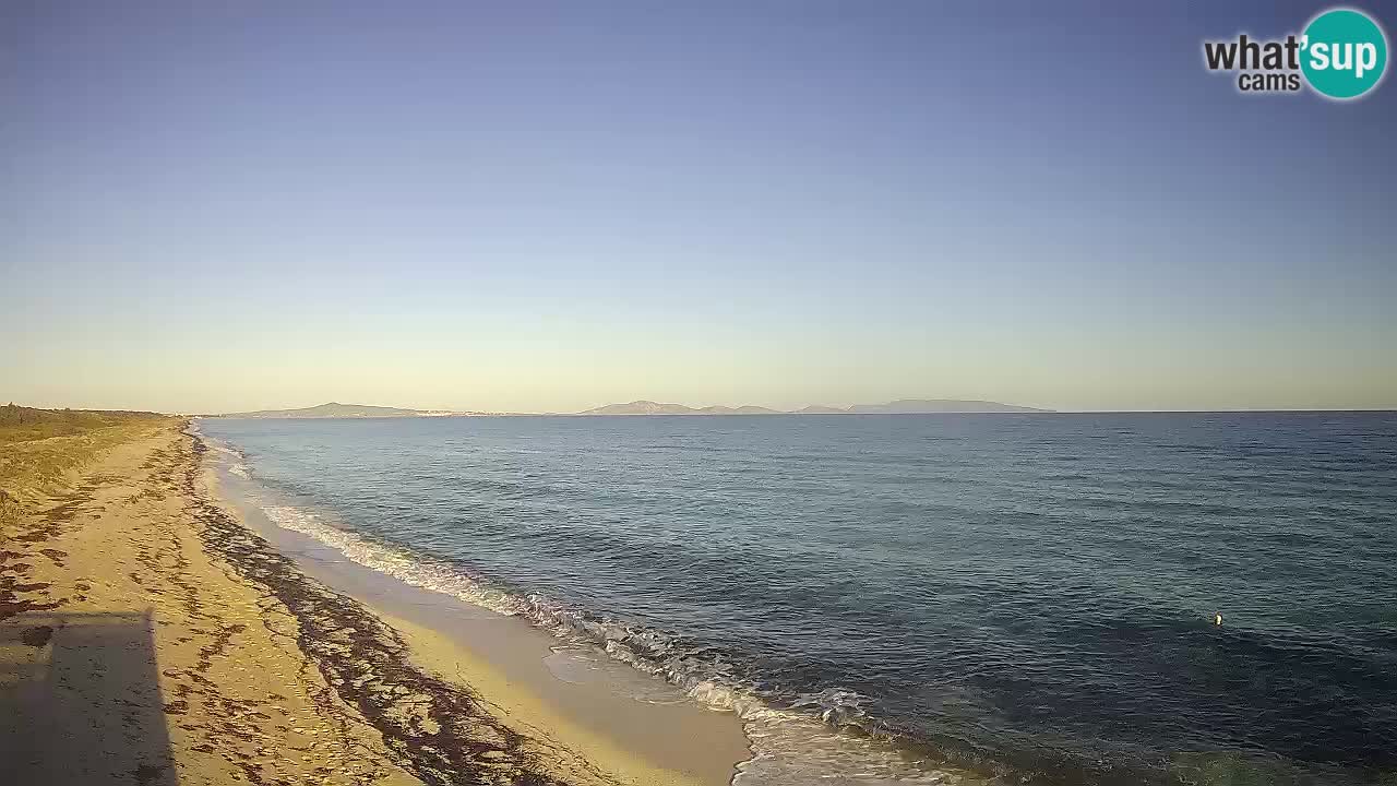 Playa Le Saline camera en vivo Stintino – Cerdeña