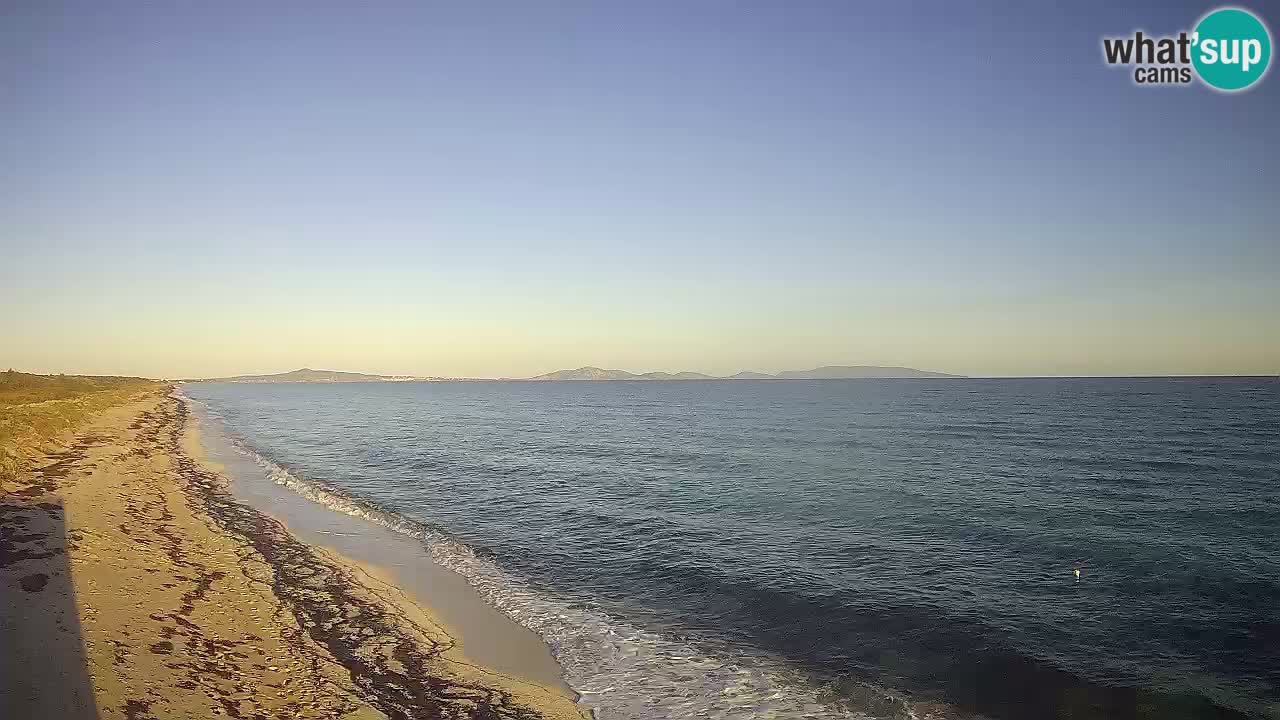 Plaža Le Saline spletna kamera Stintino – Sardinija