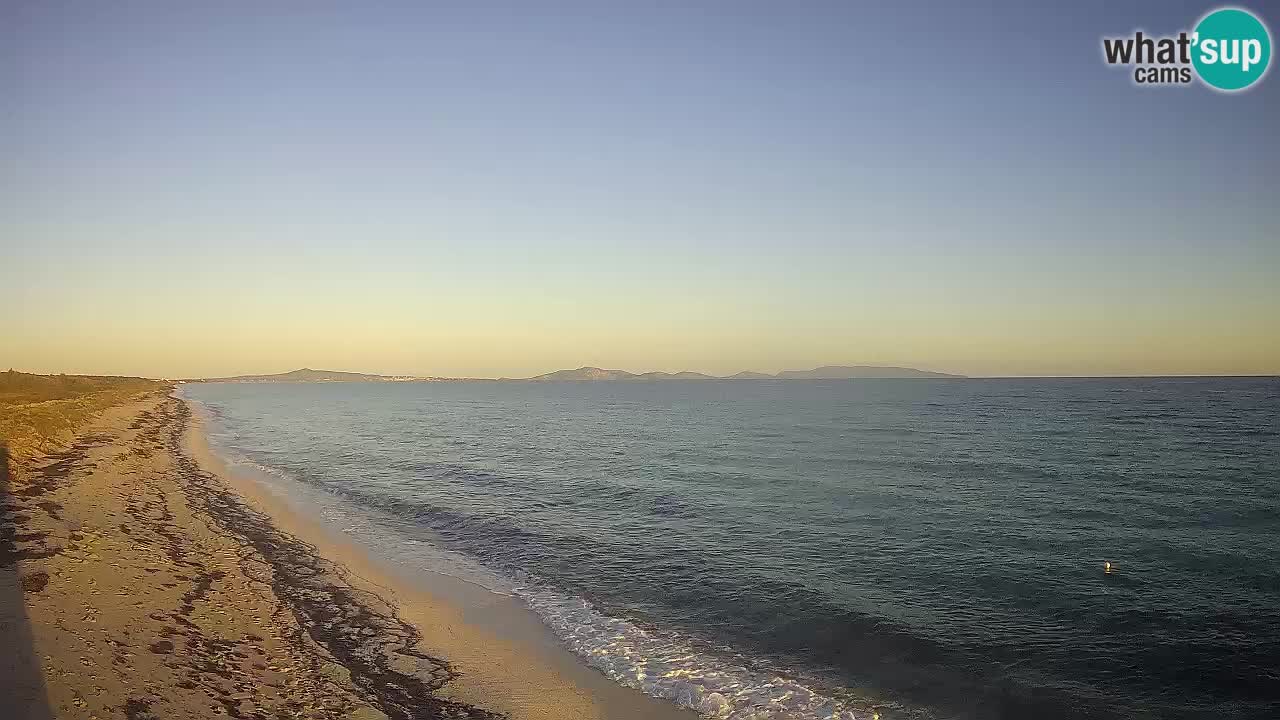 Plaža Le Saline spletna kamera Stintino – Sardinija