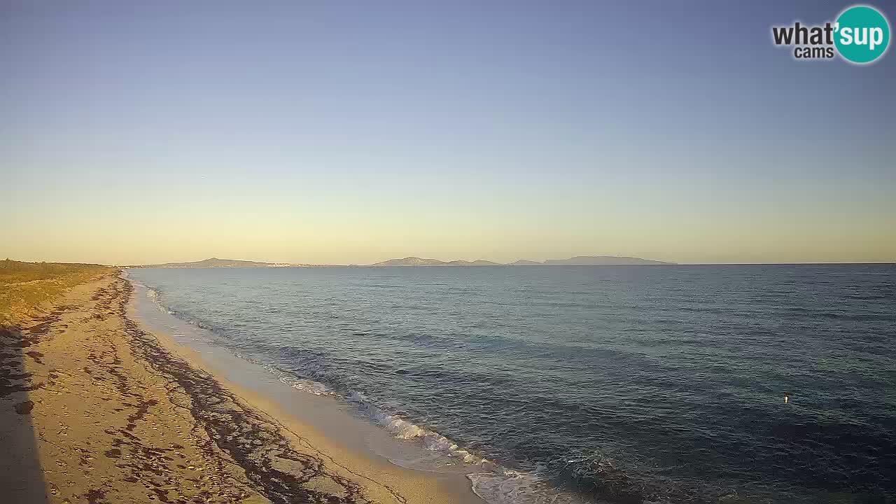 Playa Le Saline camera en vivo Stintino – Cerdeña