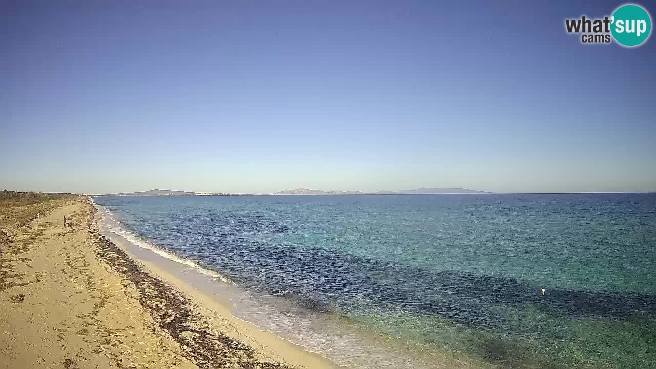 Strand Le Saline webcam Stintino – Sardinien