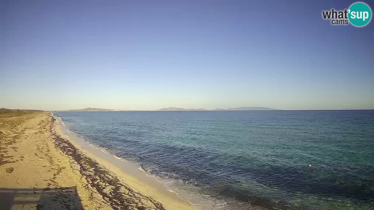 Strand Le Saline webcam Stintino – Sardinien