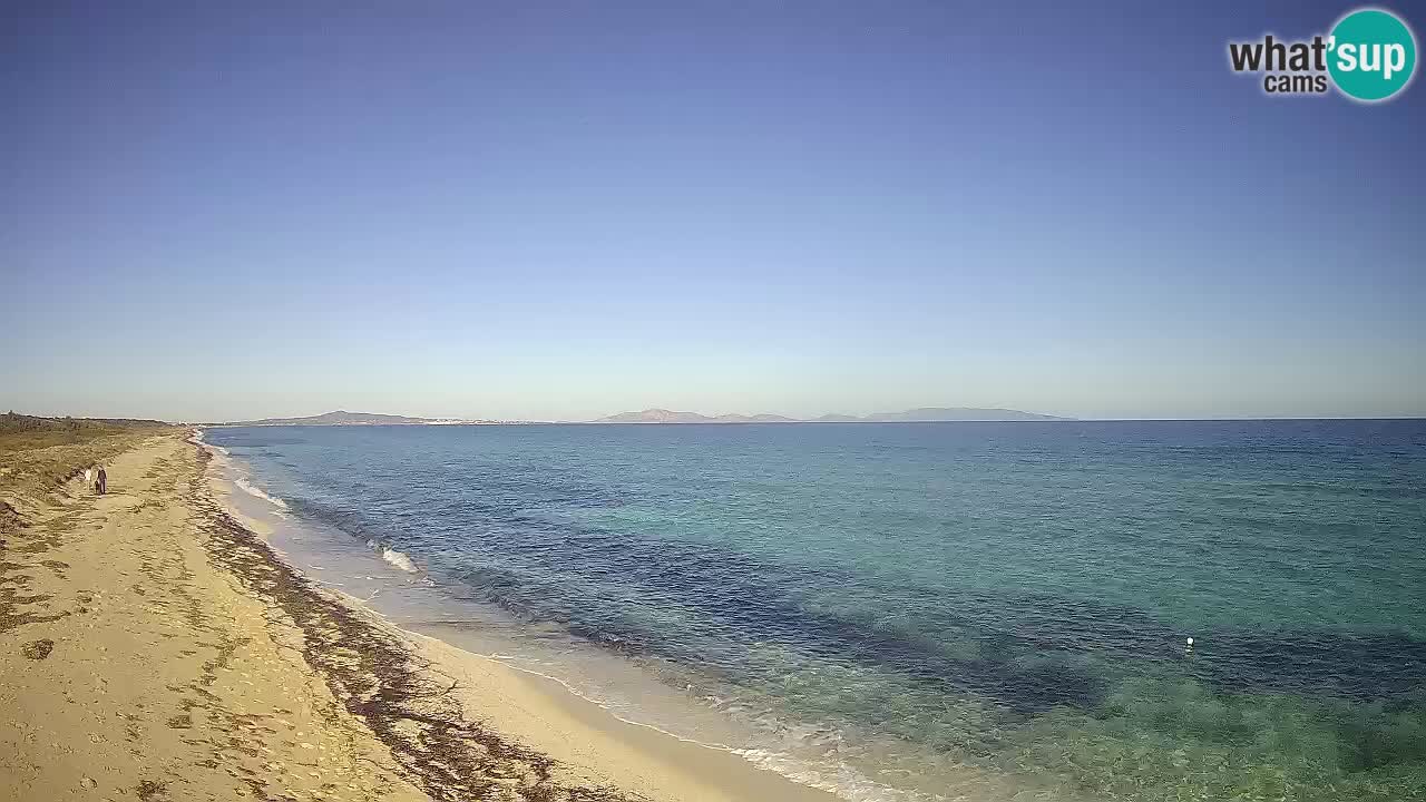 Playa Le Saline camera en vivo Stintino – Cerdeña