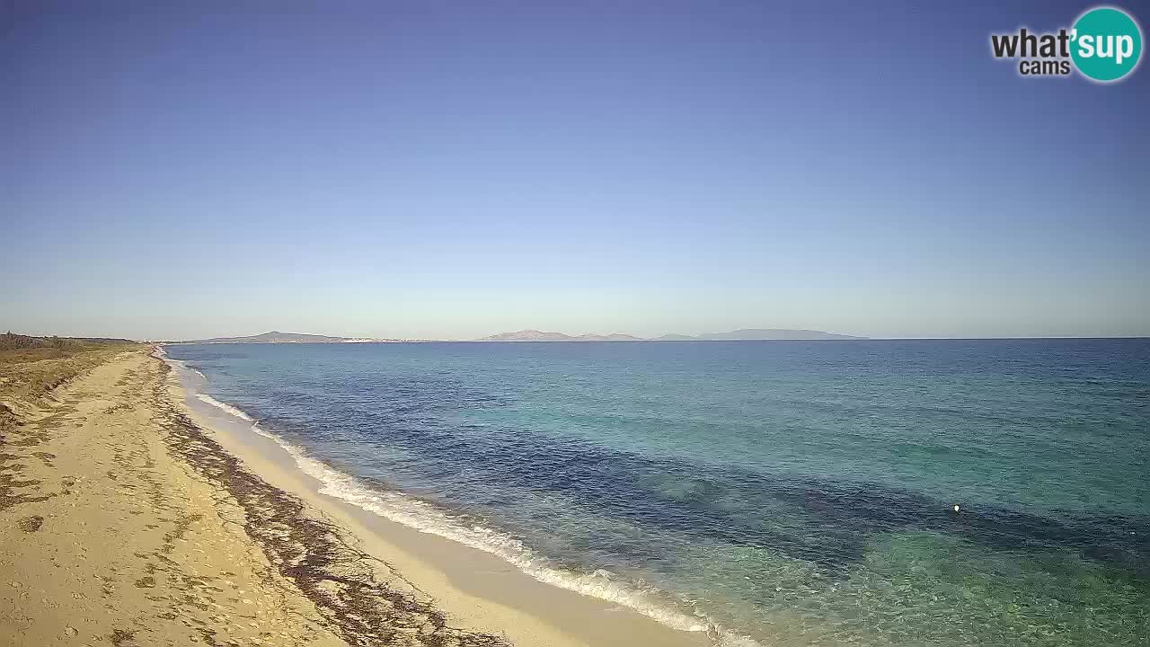 Playa Le Saline camera en vivo Stintino – Cerdeña