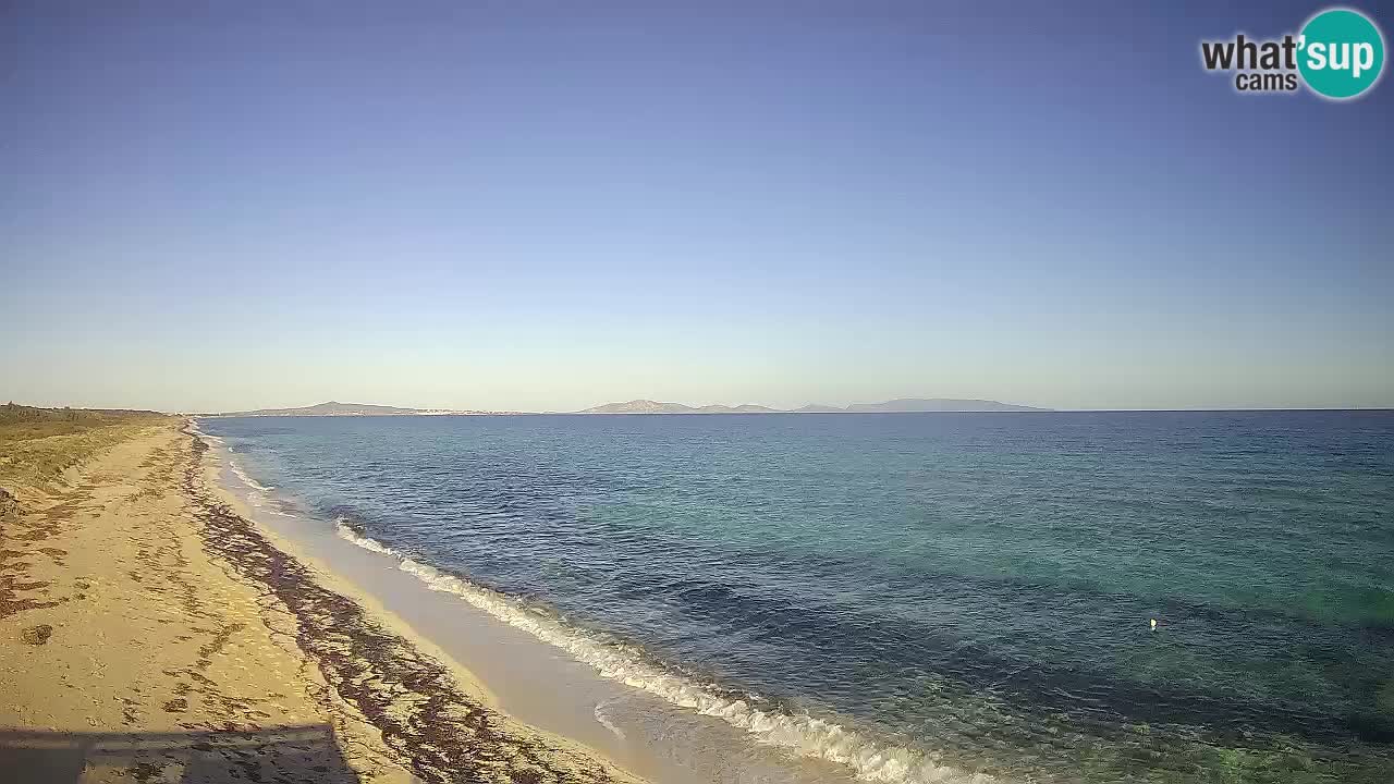 Strand Le Saline webcam Stintino – Sardinien