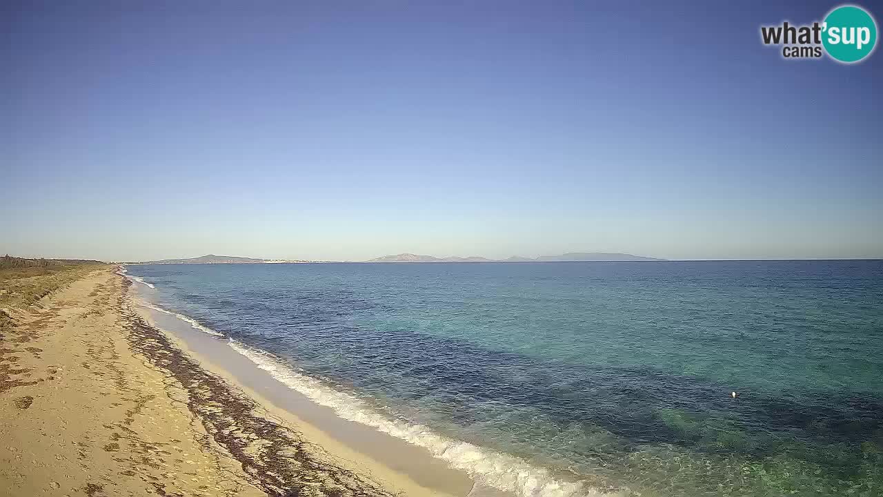 Plaža Le Saline spletna kamera Stintino – Sardinija