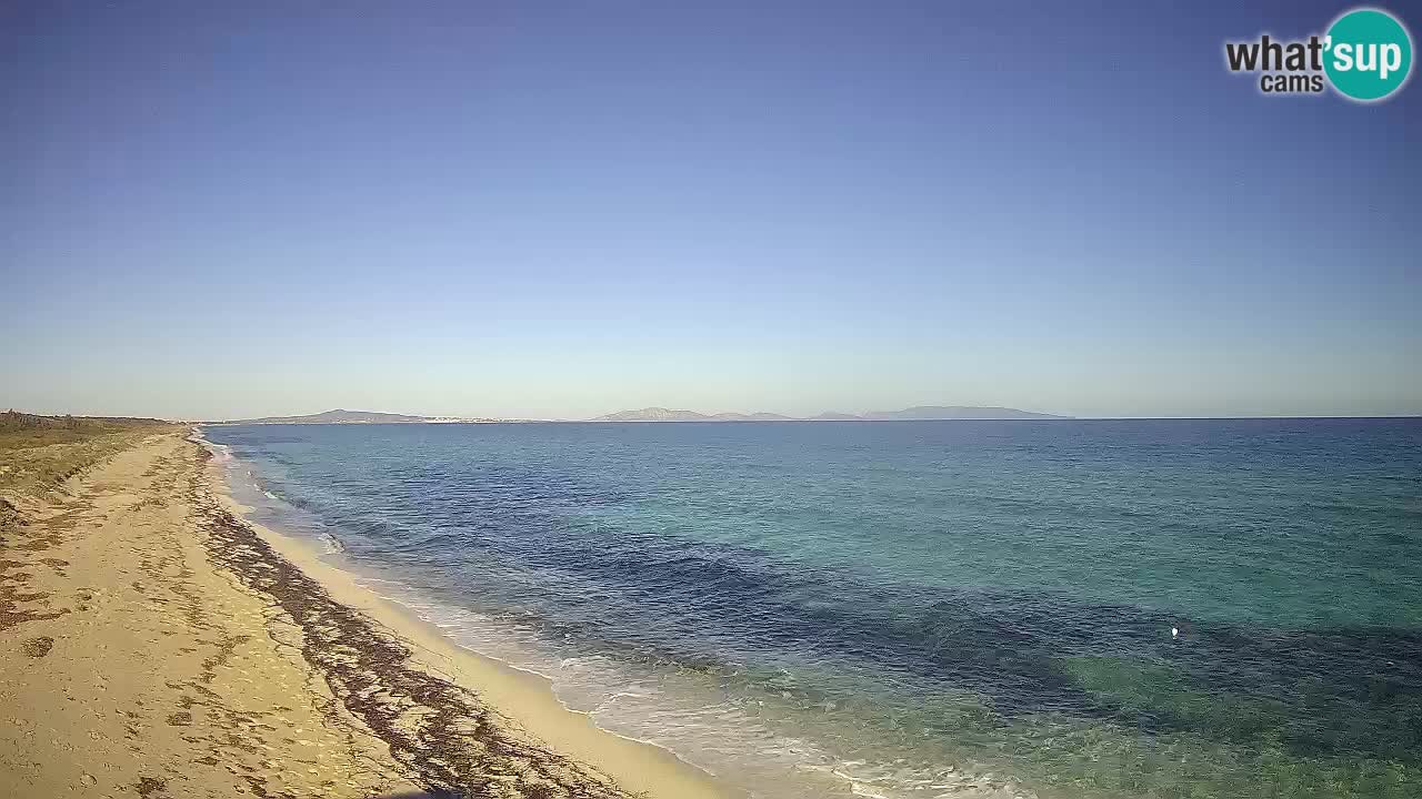 Spiaggia Le Saline webcam Stintino – Sardegna