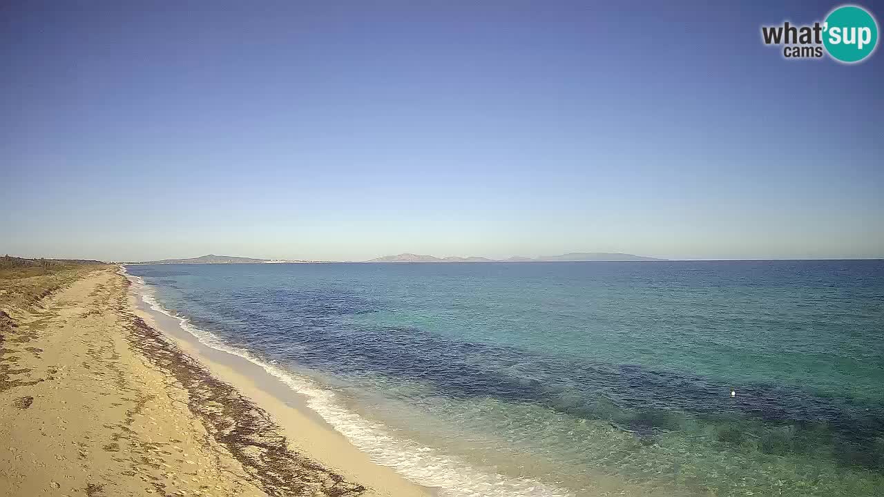 Plaža Le Saline spletna kamera Stintino – Sardinija