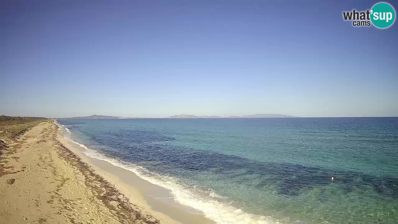 Playa Le Saline camera en vivo Stintino – Cerdeña