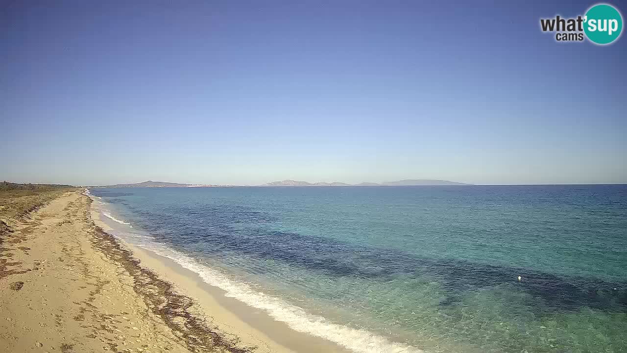 Strand Le Saline webcam Stintino – Sardinien