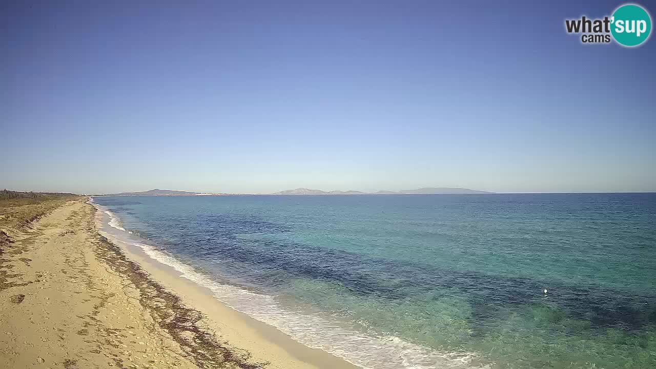 Plaža Le Saline spletna kamera Stintino – Sardinija