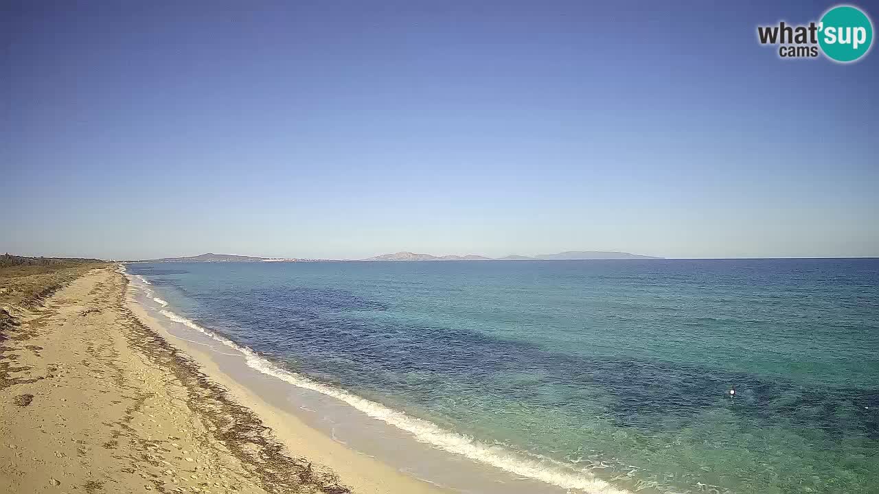 Plaža Le Saline web kamera Stintino – Sardinija