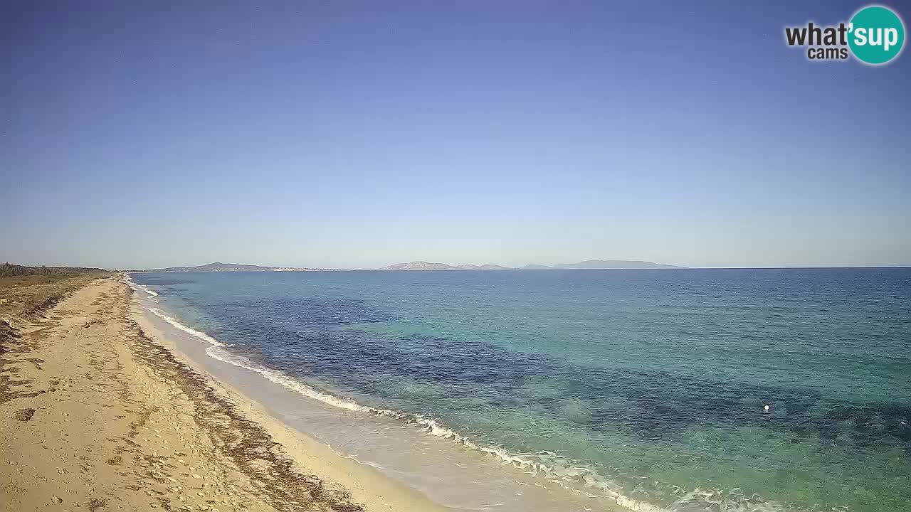 Spiaggia Le Saline webcam Stintino – Sardegna