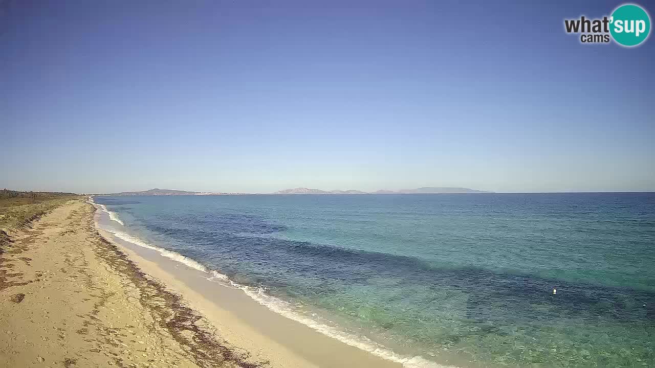 Plaža Le Saline web kamera Stintino – Sardinija