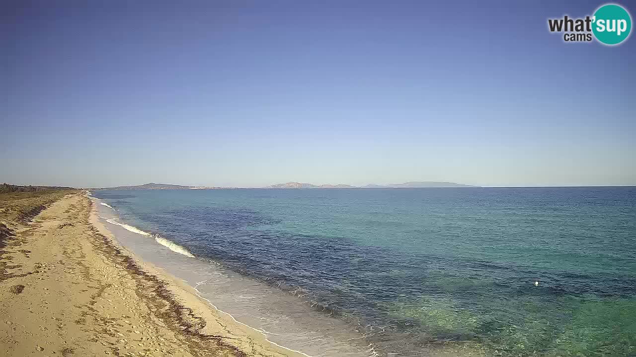 Plaža Le Saline spletna kamera Stintino – Sardinija