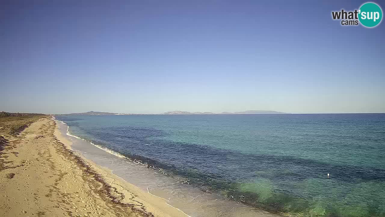 Plaža Le Saline spletna kamera Stintino – Sardinija